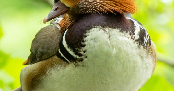 Quels sont les 4 types d'entreprises ?